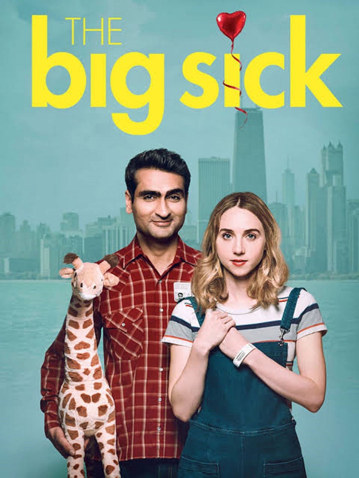 The Big Sick 2017 movie poster and review