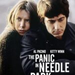 The Panic In Needle Park Movie Review and Poster 1971