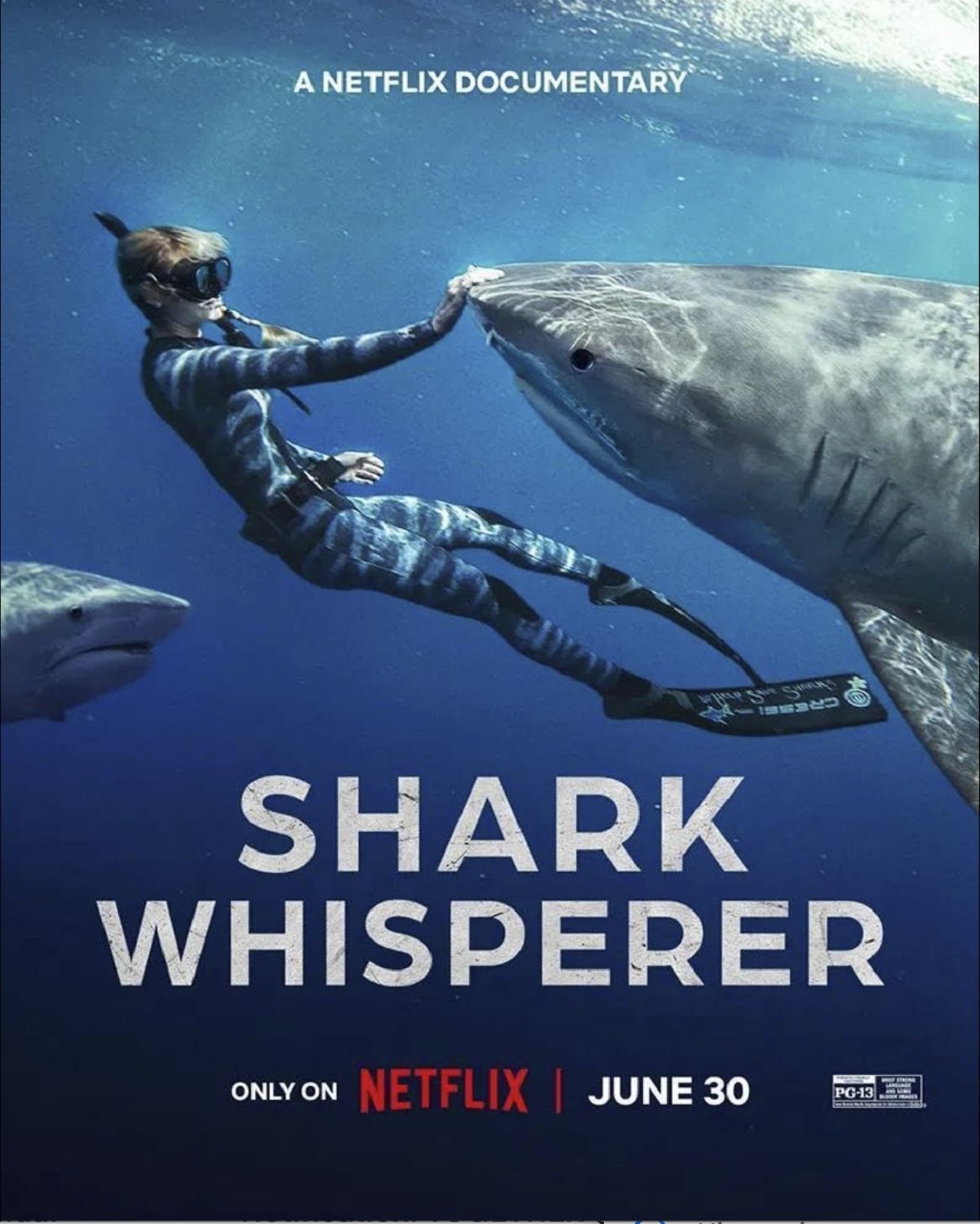Shark Whisperer Movie Review and Poster 2025